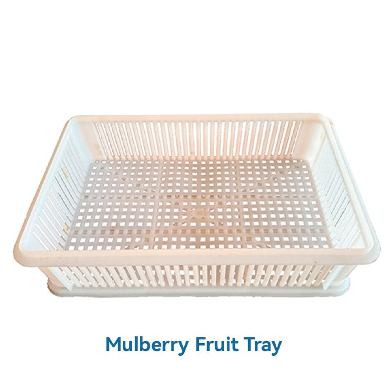 Injection-moulded mulberry fruit tray