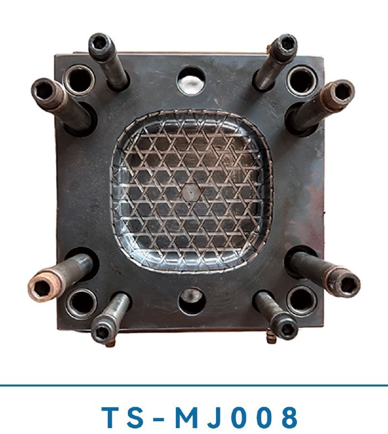 TS-MJ007 injection mould